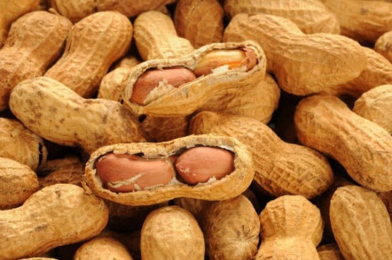 Pakistan, China to collaborate on improved peanut seeds