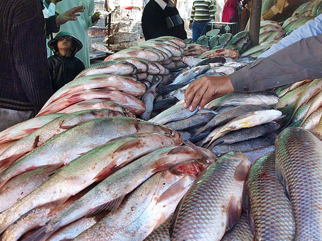 Pakistan’s seafood exports to China near $255 million in 2025