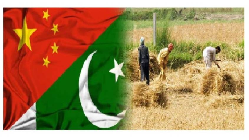 Ten key sectors open for investment at Pakistan-China Agriculture Conference