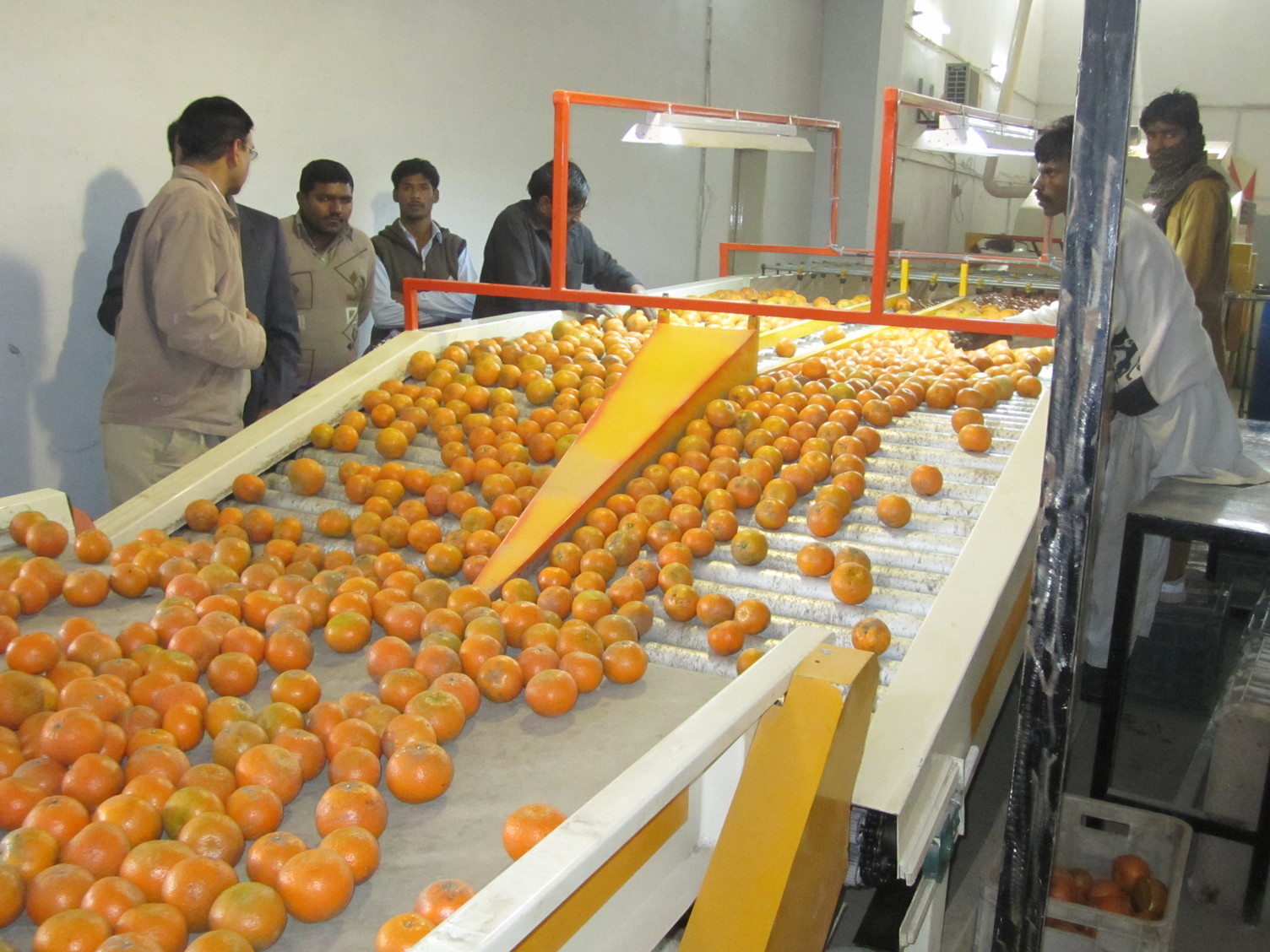 China-Pakistan Training Boosts Pakistan’s Citrus Industry for Changing Climate