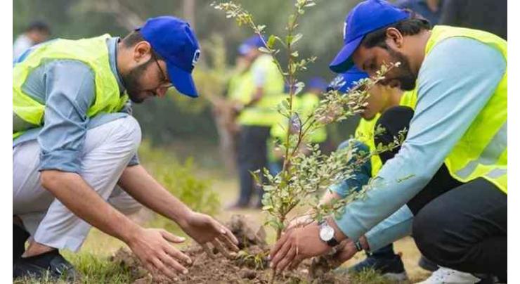 Tree plantation drive starts in Gwadar